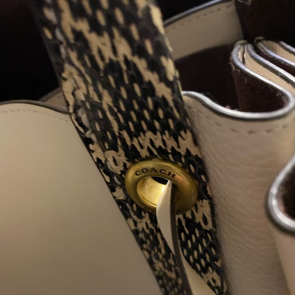 Chalk and snake skin Coach large purse - Picture 6 of 12